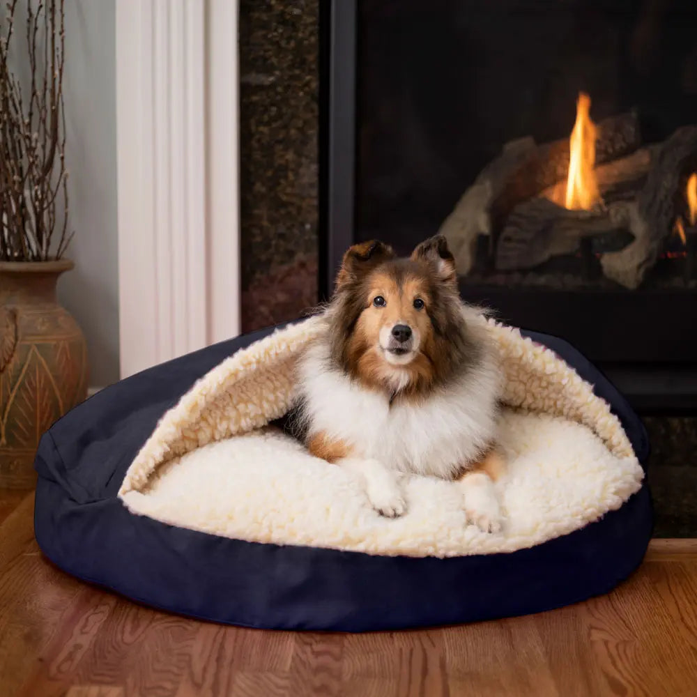 Orthopedic Cozy Cave Dog Bed