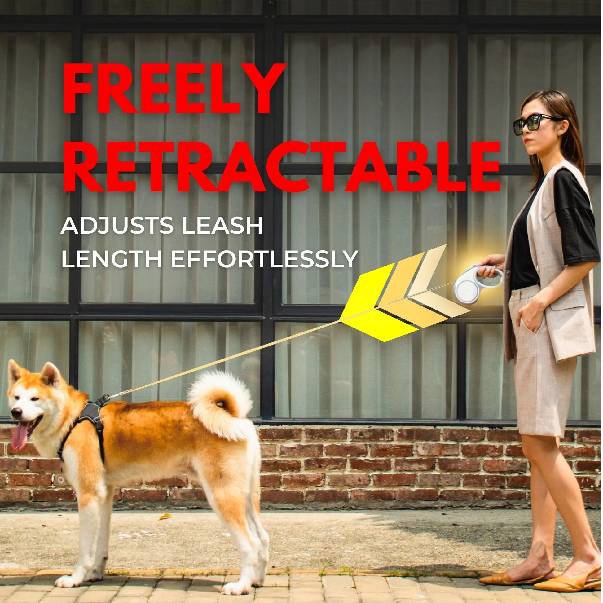Premium Retractable Dog Leash, 5M with Anti-Slip Handle, Durable Construction, Innovative Braking System, Comfortable Grip for All Dog Sizes, Strong Nylon Tape
